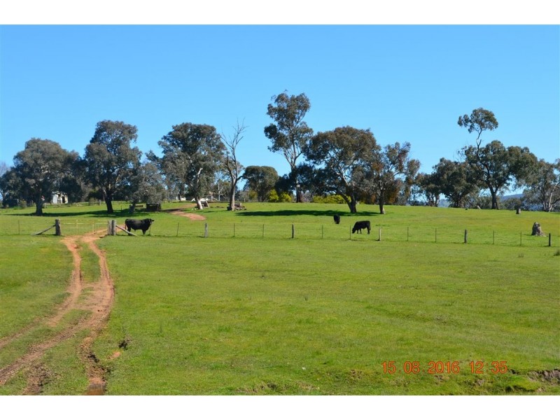 304 Brungle Road, Tumut NSW 2720