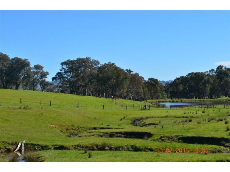 304 Brungle Road, Tumut NSW 2720