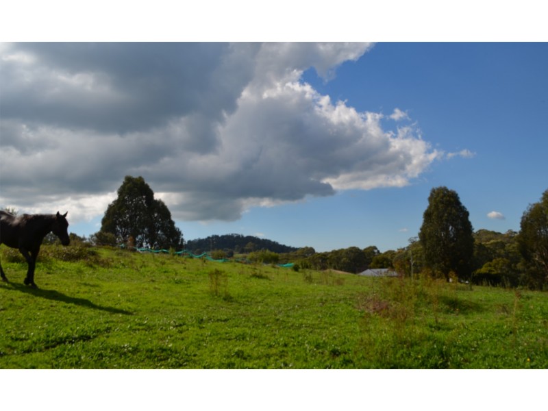 Lot 252 Mayday Road, Batlow NSW 2730
