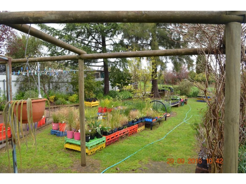 19 Lockhart Street, Adelong NSW 2729