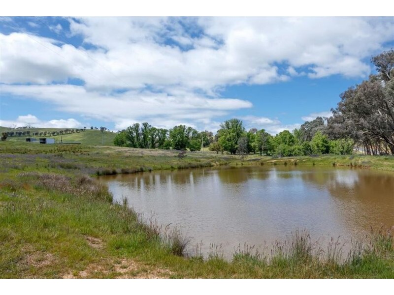 1928 Gocup Road, Tumut NSW 2720