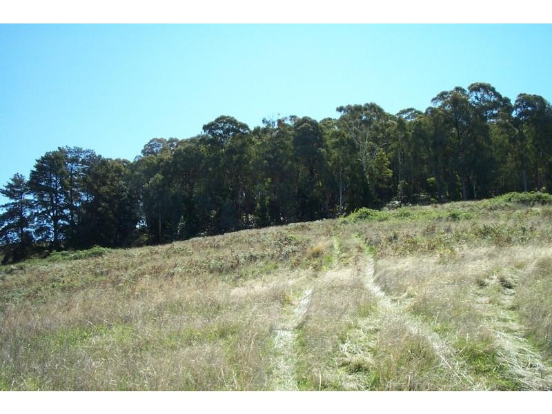- Batlow Road, Batlow NSW 2730