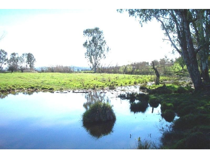 Lot 4/ TUMUT PLAINS ROAD, Tumut Plains NSW 2720