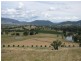 104 Morgans Reserve, Tumut NSW 2720