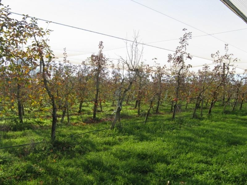 608 Tumut Plains Road, Tumut NSW 2720