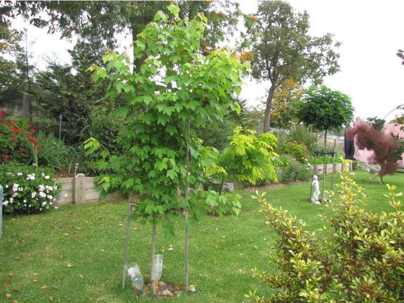 68 Camp Street, Adelong NSW 2729