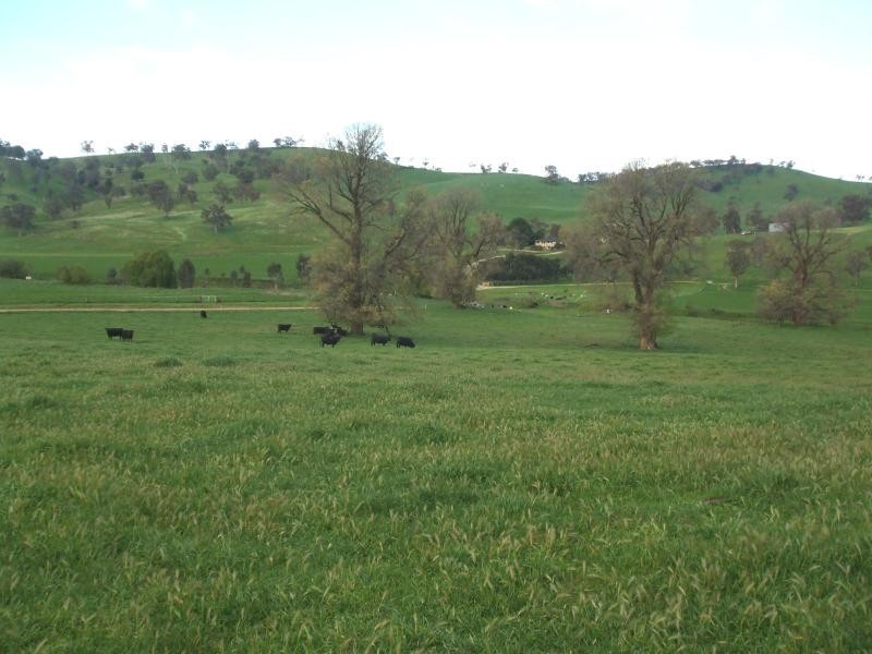 Lot 5/ Deans Road, Adelong NSW 2729