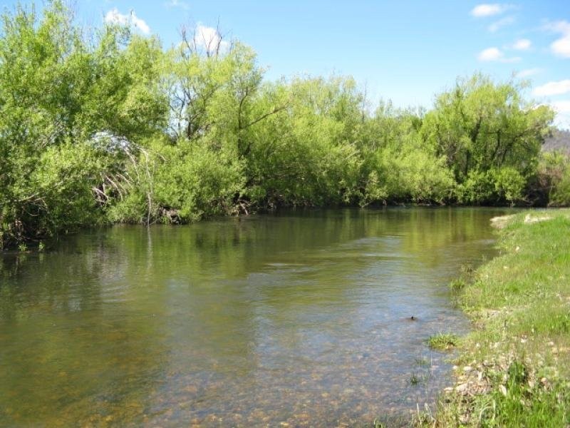 439 Little River Road, Tumut NSW 2720