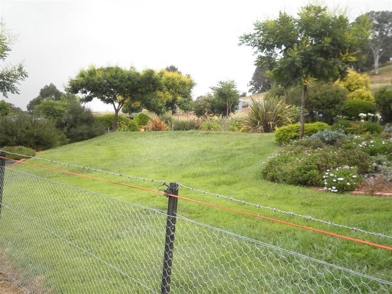 1925 Gocup Road, Tumut NSW 2720