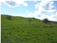 237 Gocup Farms Road, Tumut NSW 2720