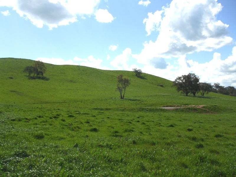 237 Gocup Farms Road, Tumut NSW 2720