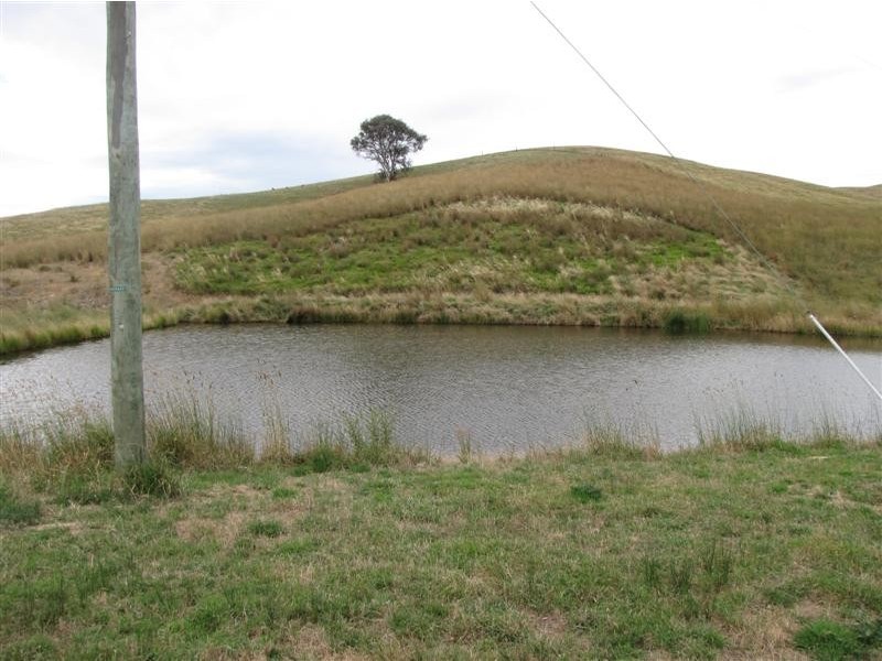 1960 Gocup Road, Tumut NSW 2720