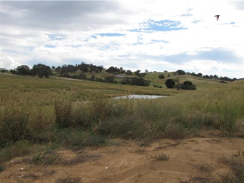 1960 Gocup Road, Tumut NSW 2720
