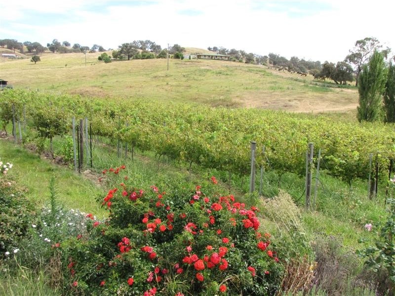 2001 Gocup Road, Tumut NSW 2720