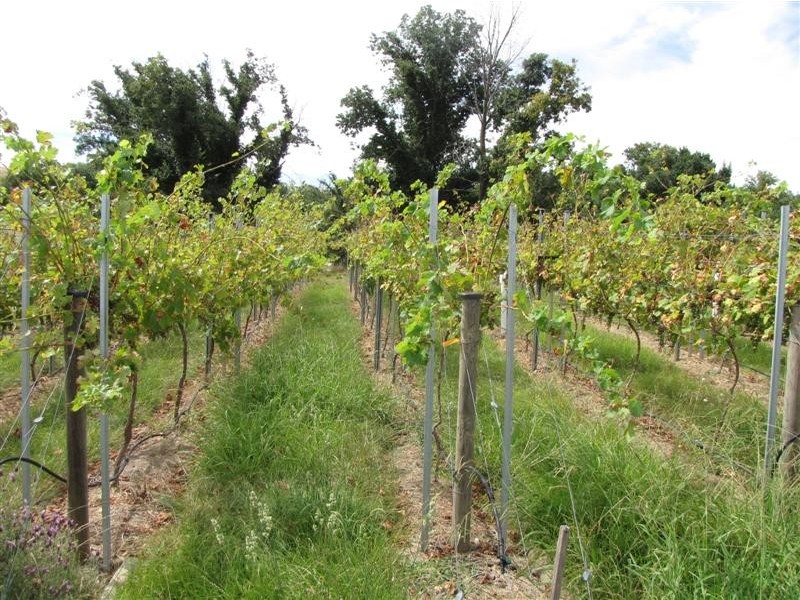 2001 Gocup Road, Tumut NSW 2720