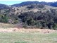 2/21 Walls Creek Road, Tumut NSW 2720