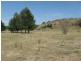 Lot 12 Selwyn Street, Adelong NSW 2729