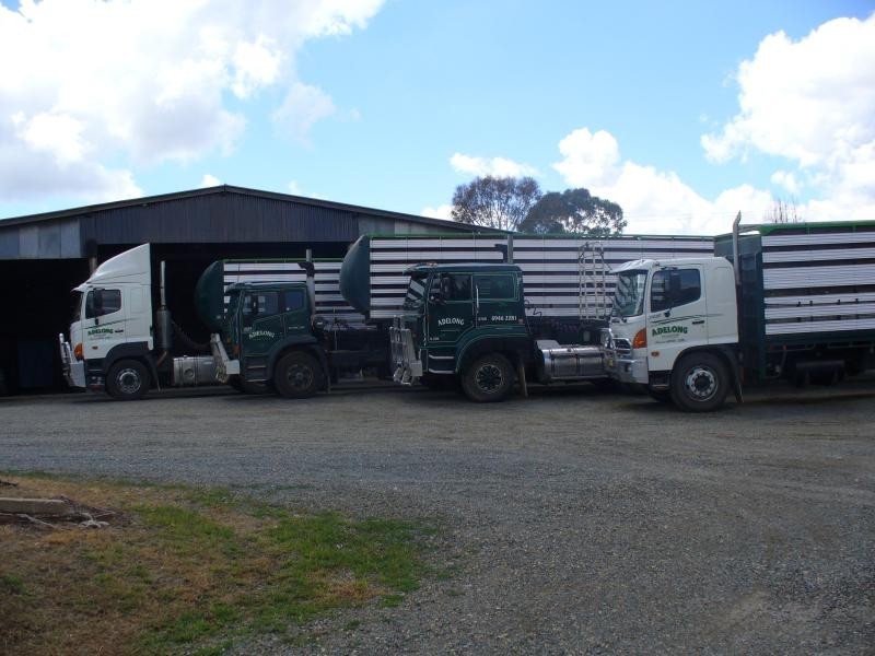 - Campbell Street, Adelong NSW 2729