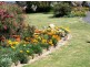 86 Cloverdale Road, Tumut NSW 2720