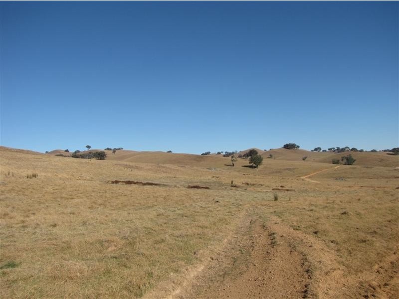 133 Webbs Road, Tumut NSW 2720