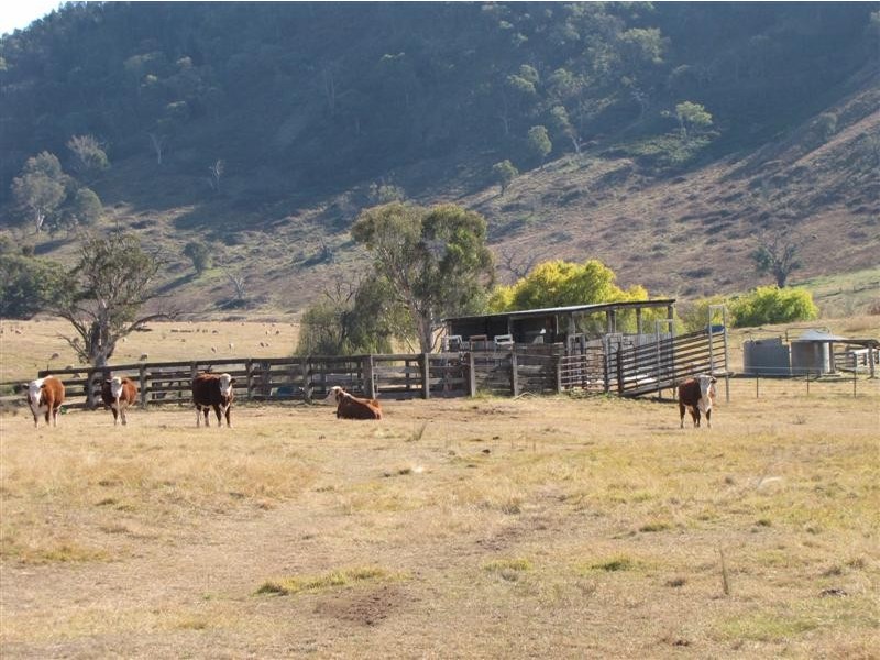 133 Webbs Road, Tumut NSW 2720