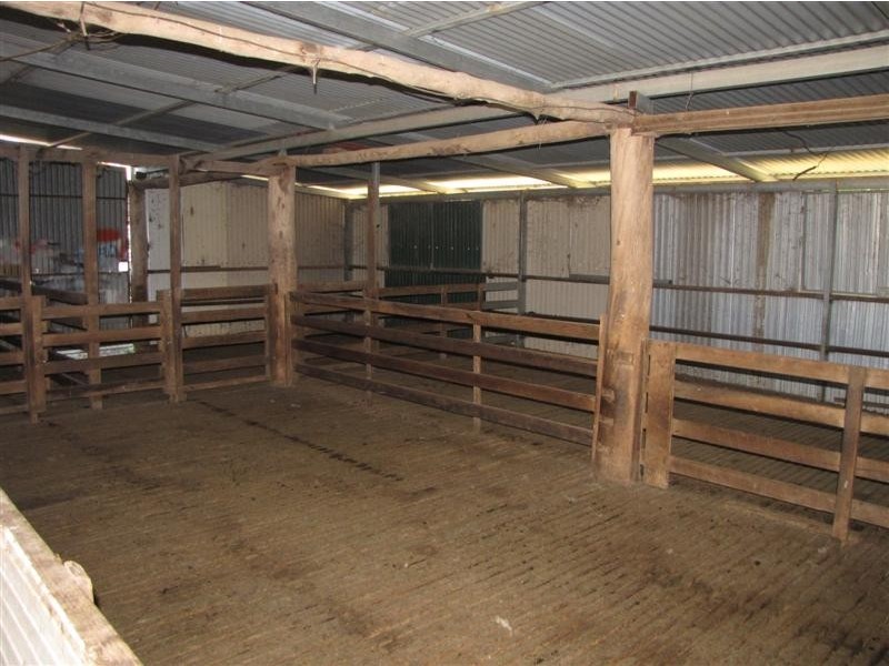 133 Webbs Road, Tumut NSW 2720
