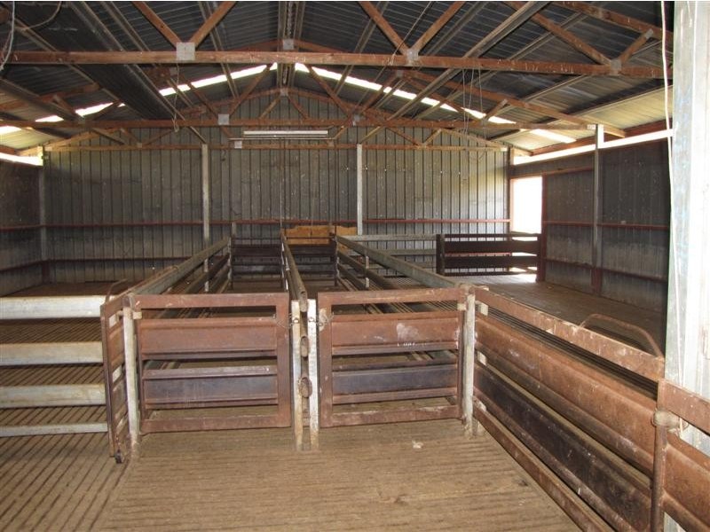 133 Webbs Road, Tumut NSW 2720
