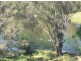 350 Nimbo Road, Tumut NSW 2720