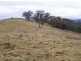 “Creekview” East Gilmore Road, Tumut NSW 2720