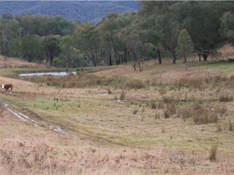 “Creekview” East Gilmore Road, Tumut NSW 2720