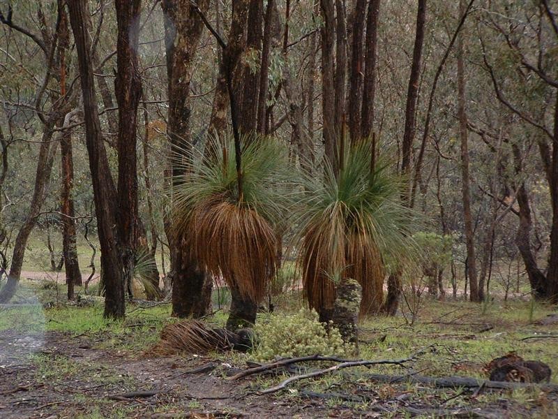 “Creekview” East Gilmore Road, Tumut NSW 2720