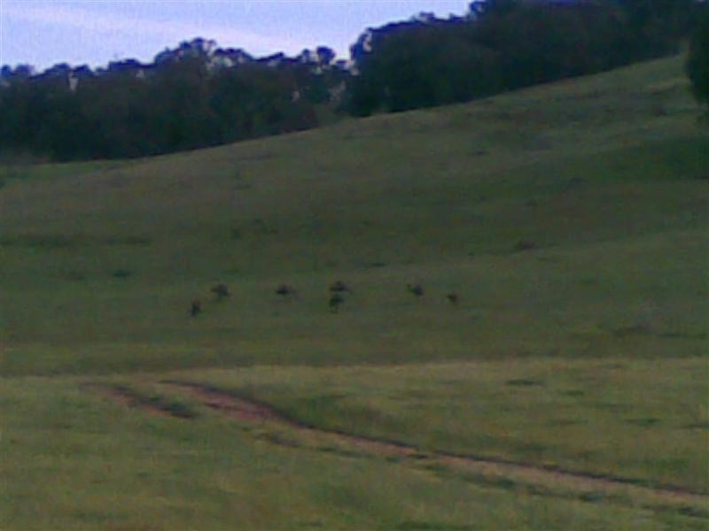 “Creekview” East Gilmore Road, Tumut NSW 2720