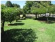 106 Lynch Street, Adelong NSW 2729