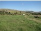 - East Grahamstown Road, Adelong NSW 2729