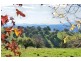 4444 Tumut Road, Batlow NSW 2730