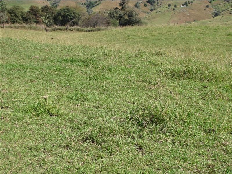 497 West Gilmore Road, Tumut NSW 2720