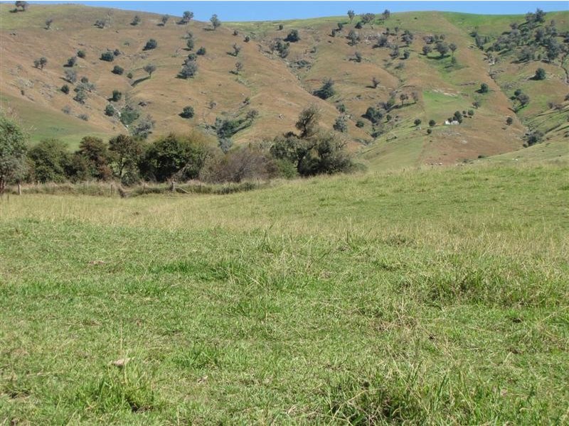 497 West Gilmore Road, Tumut NSW 2720