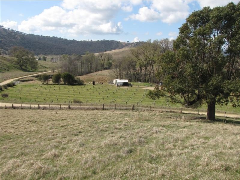 - Back Sandy Gully Road, Adelong NSW 2729