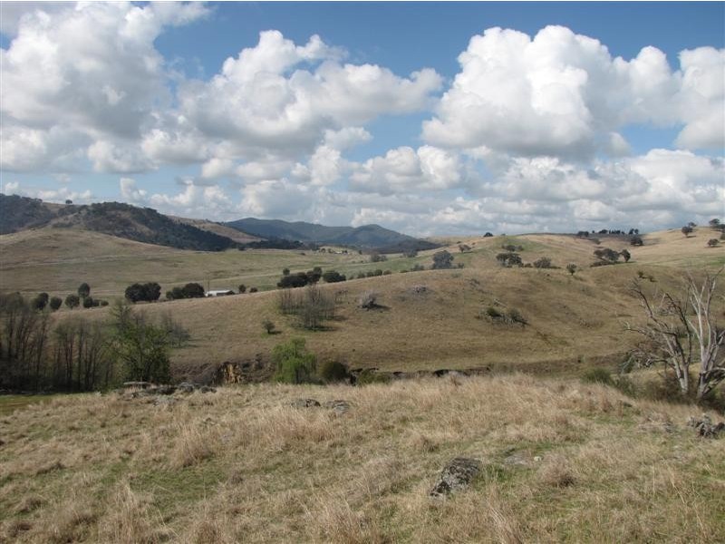 - Back Sandy Gully Road, Adelong NSW 2729