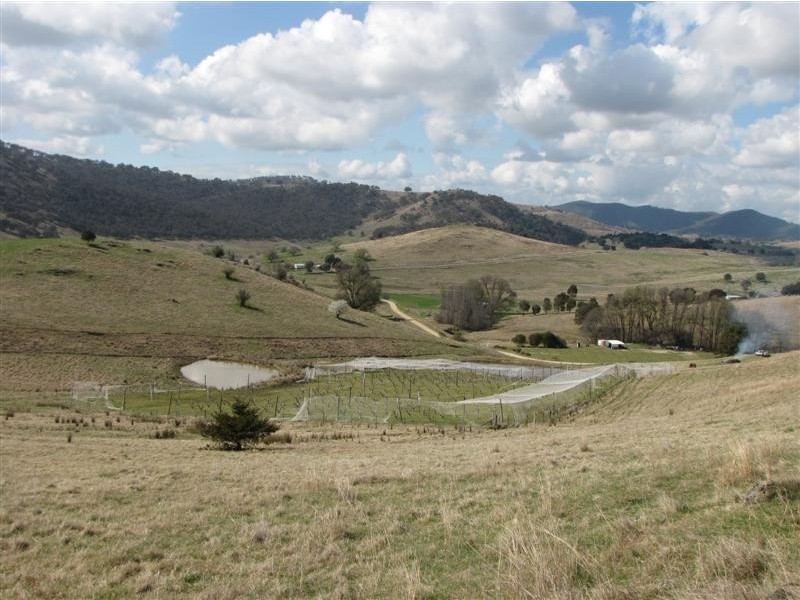 - Back Sandy Gully Road, Adelong NSW 2729