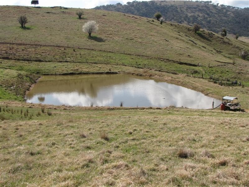 - Back Sandy Gully Road, Adelong NSW 2729