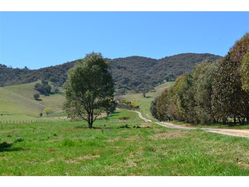 95 East Gilmore Road, Tumut NSW 2720