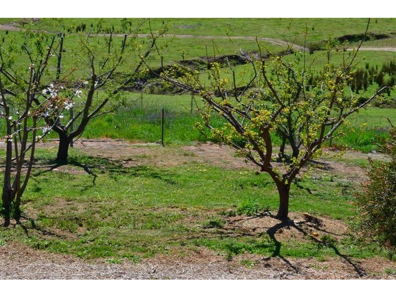 95 East Gilmore Road, Tumut NSW 2720