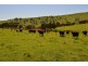 Lot 321 “GREENBANK” Snowy Mountains Highway, Adelong NSW 2729