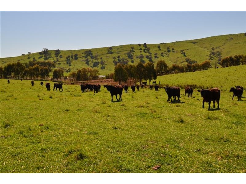Lot 321 “GREENBANK” Snowy Mountains Highway, Adelong NSW 2729