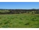 Lot 321 “GREENBANK” Snowy Mountains Highway, Adelong NSW 2729