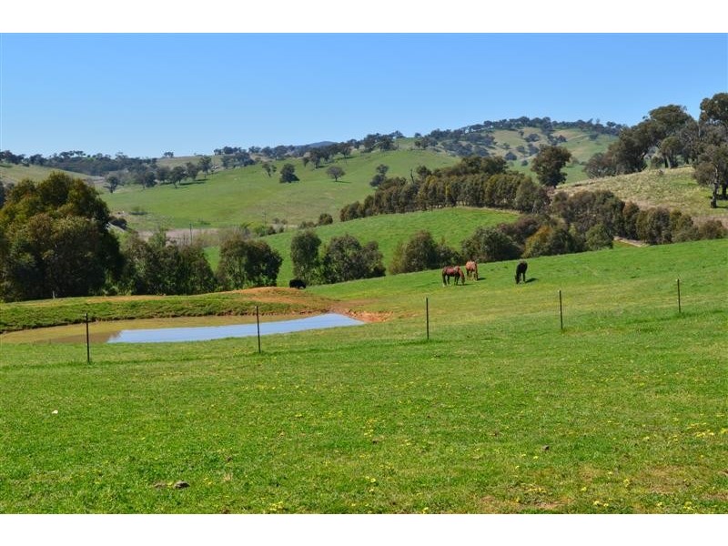 Lot 321 “GREENBANK” Snowy Mountains Highway, Adelong NSW 2729