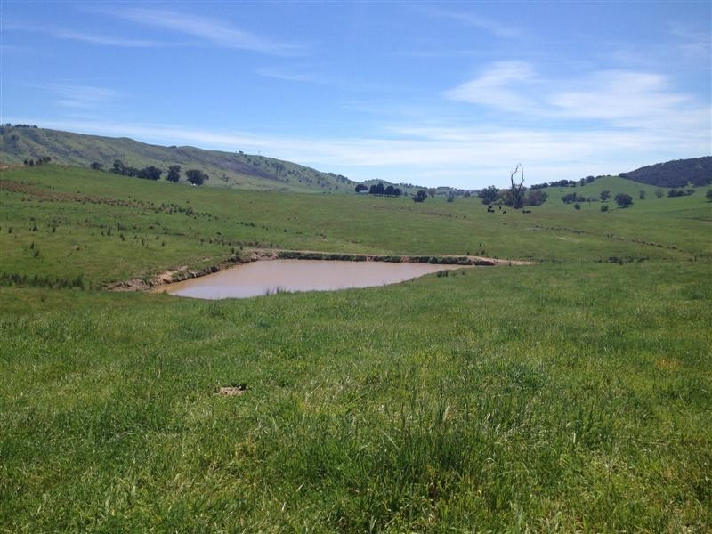 1530 Yaven Creek Road, Adelong NSW 2729