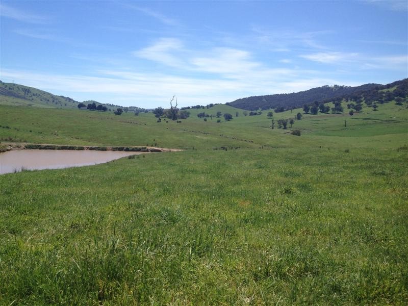 1530 Yaven Creek Road, Adelong NSW 2729