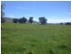 1530 Yaven Creek Road, Adelong NSW 2729